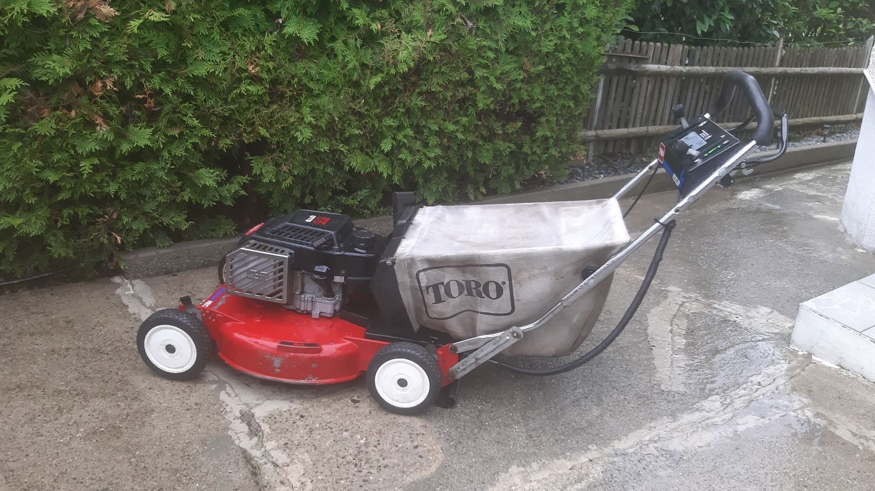 TORO mit Radantrieb Rasenmäher 5,5 GTS kaufen auf Ricardo