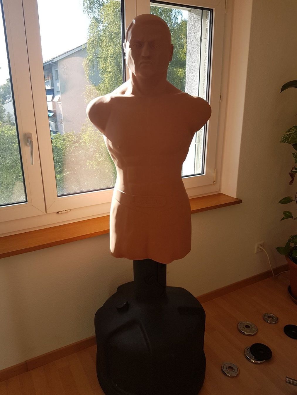 Boxdummy Century BOB XL Kaufen auf Ricardo