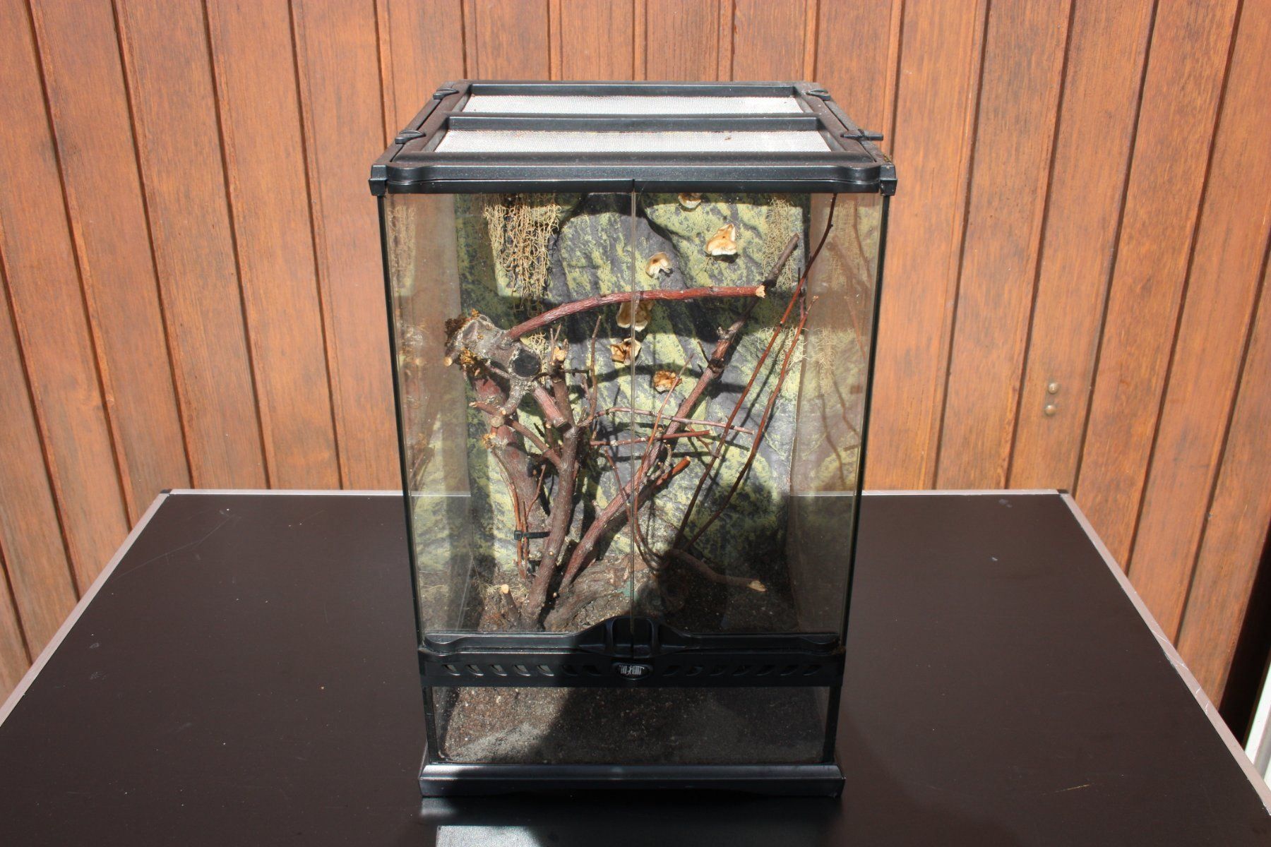 exo terra 45 x 45 x 30