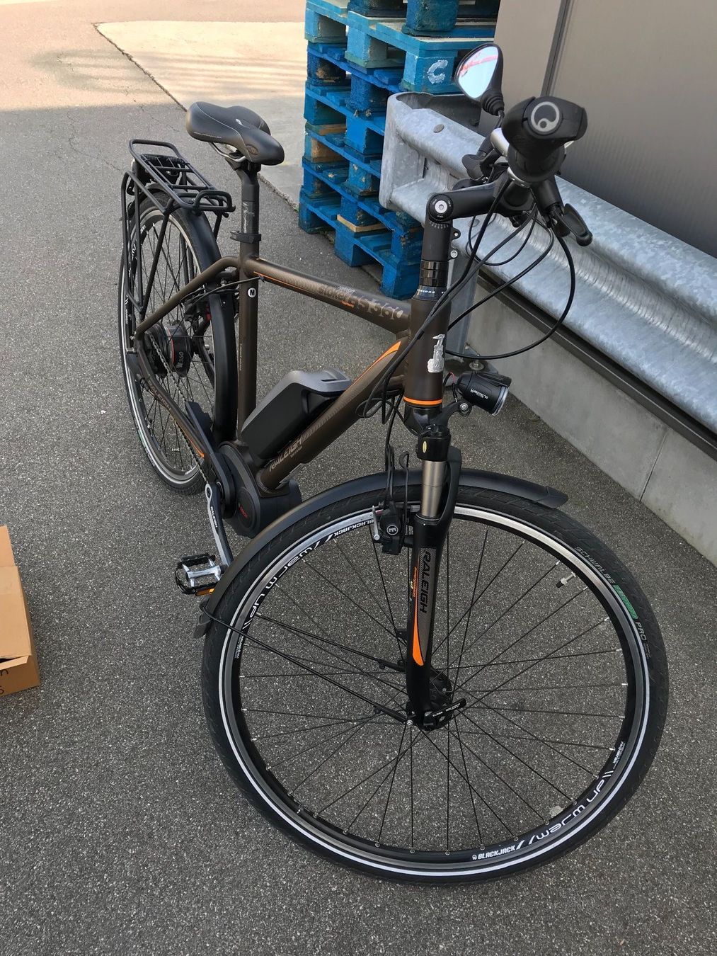 Top EBike von Raleigh 45km/h Kaufen auf Ricardo