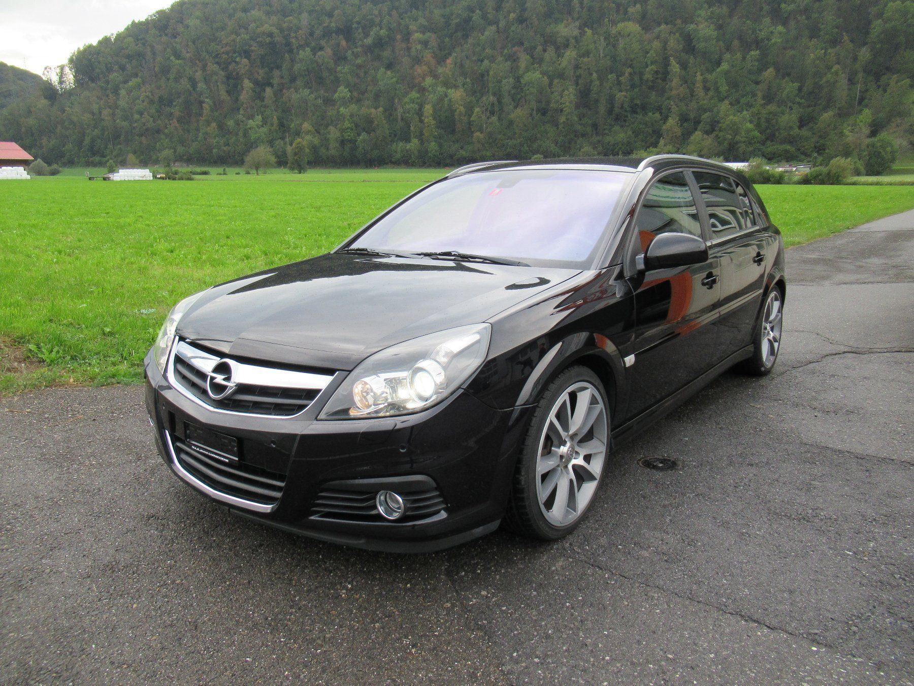 Opel signum 2008