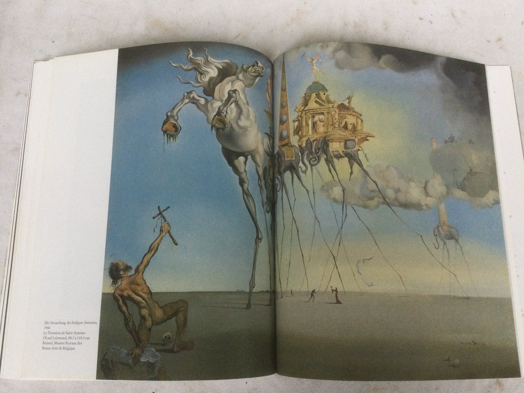 Buch Salvador Dali Bilder Und Text Acheter Sur Ricardo