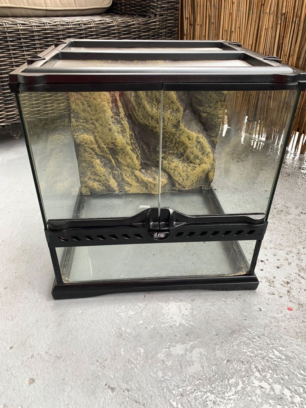 exo terrarium kaufen