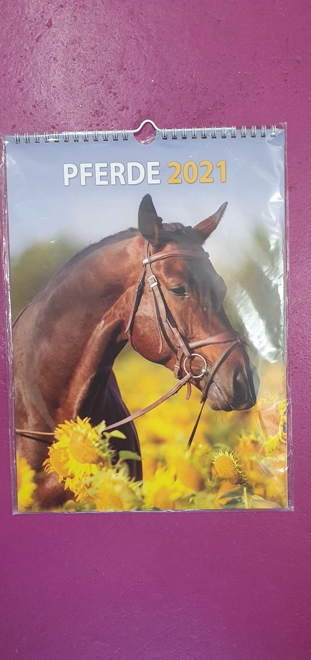 Kalender 2021 Pferde | Kaufen auf Ricardo