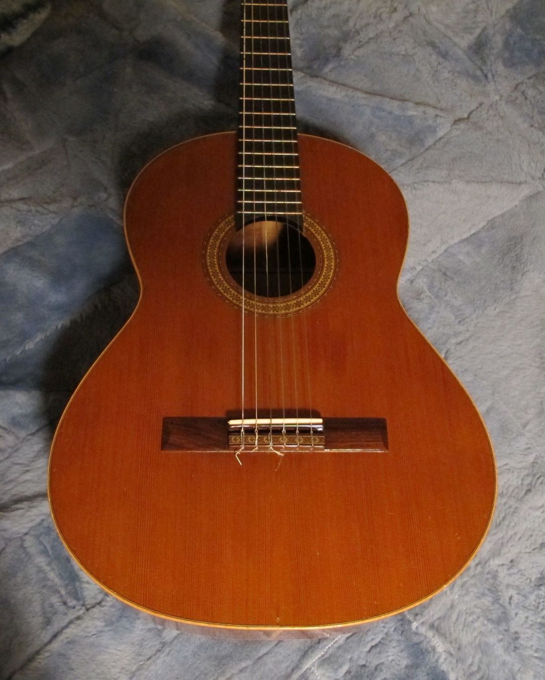 Akustische Gitarre Kaufen auf Ricardo