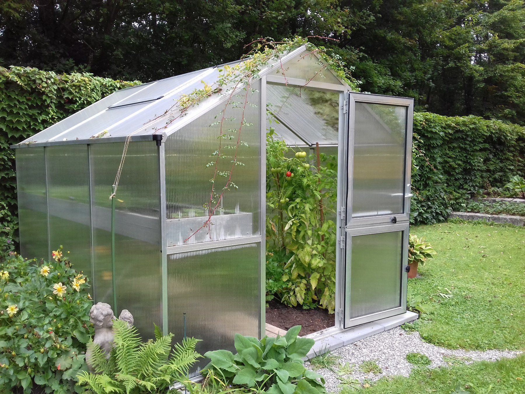 Gewächshaus 7.5 m2 mit 10 mm Doppelsteg | Kaufen auf Ricardo