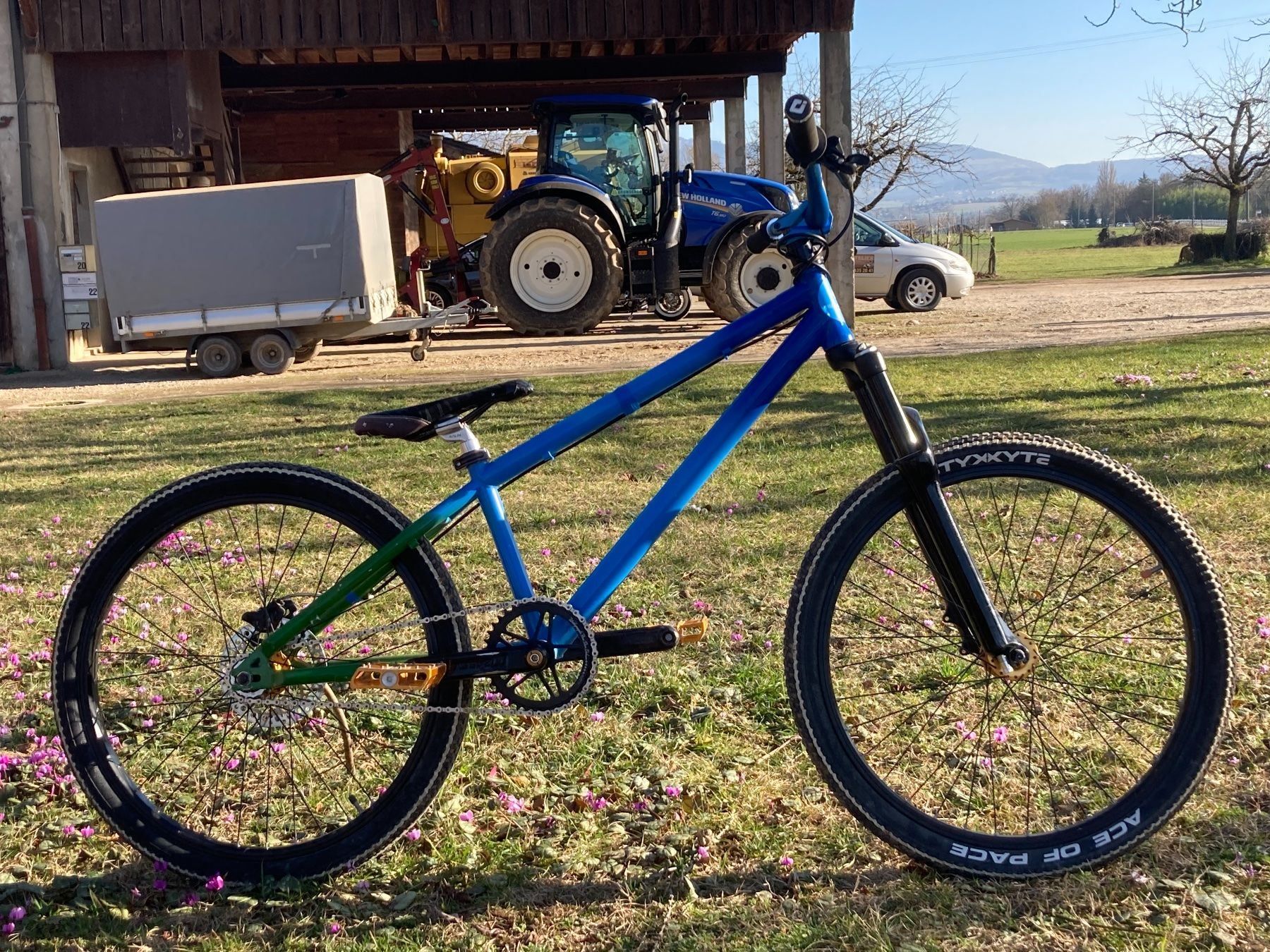 Twentyfour Seven Dirt Jump Bike Kaufen auf Ricardo