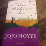 Jojo Moyes: Ein Bild von dir (4)