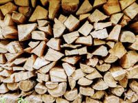 trockenes Brennholz aus der Region