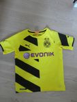 Borussia Dortmund BVB Trikot Gr.140