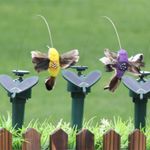 Kolibri Solar Rotierend