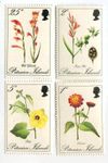 Briefmarken "Blumen". Pitcairninseln
