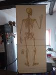 Affiche 82*190 cm. Le squelette derrière  DAS skelett 1971‪