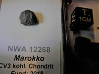 Kohl. CV 3 Meteorit Meteorite NWA 12268 - S E L T E N -