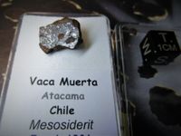 2,93g Mesosiderit Meteorit VACA MUERTA aus  Chile