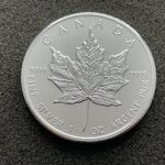 1 Unze Silber Kanada Maple Leaf 2010