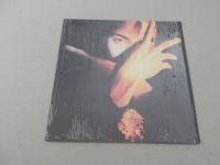 LP USA Soul Funk Terence Trent D`Arby 1989 Neither Fish..