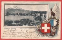 Luzern - Wappen und Gemse - Präge-AK mit UPU-Marke 1900