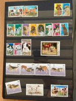 Briefmarkensammlung mit teils sehr seltenen Briefmarken