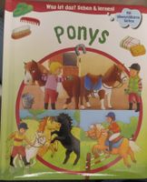 Bilderbuch Pony