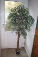 Olivenbaum Deko
