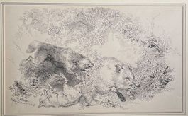 J. Volmar Federzeichnung Wildschweinjagd 1859