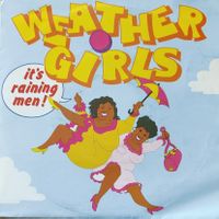Vinyl-Single Weather Girls - It's Raining Men!