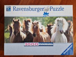 Pferde Puzzle