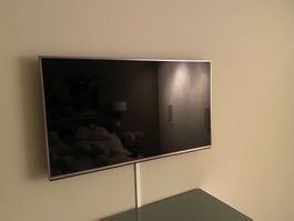 Panasonic Fernseher 90 x 51 cm